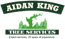 Aidan King Tree Services